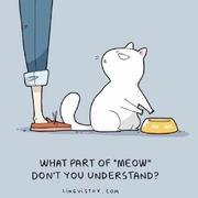 AngFl的个人资料头像