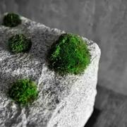 _的个人资料头像