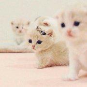 用户6337709021的个人资料头像