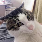 BiosSun的个人资料头像