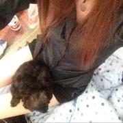 身前弱冠身后石棺的个人资料头像