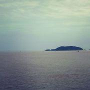 阿拉是西卡的个人资料头像