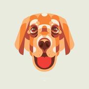 trusbe的个人资料头像