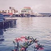 catherine917的个人资料头像