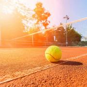 王忠波的个人资料头像