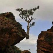 helloword107的个人资料头像