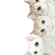 HiMrHu的个人资料头像