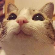 ainightf的个人资料头像