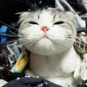 飞奔的蛋蛋在掘金的个人资料头像