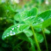 mysmalldream的个人资料头像