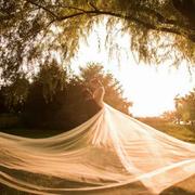 斑驳记忆的个人资料头像