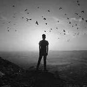 扬不想说话33701的个人资料头像