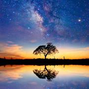 Abraham33751的个人资料头像