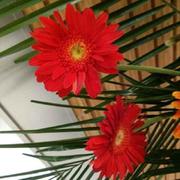 hannah0310的个人资料头像