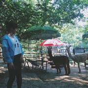 秀琴的个人资料头像