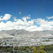 阿慈的个人资料头像