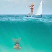 Lifeordr的个人资料头像