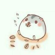 And009的个人资料头像