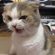 mostsaltyFish的个人资料头像