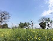 Smile的个人资料头像