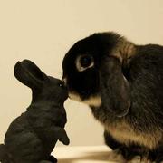 倾悦的个人资料头像