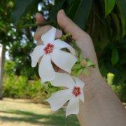 Livdran的个人资料头像