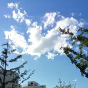 相忘在掘金的个人资料头像