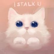 纷舞年华的个人资料头像