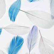 _T丶的个人资料头像