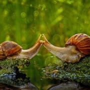 forjyoung的个人资料头像