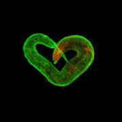 justForSecond的个人资料头像