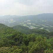 george在掘金34848的个人资料头像