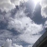 18717700273的个人资料头像