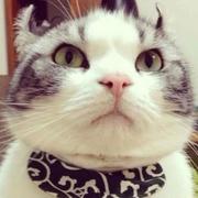 Jiangjieasd的个人资料头像