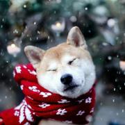 Leviathan1995的个人资料头像