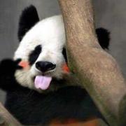 我是DJ的个人资料头像