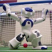 万里之行始于足下的个人资料头像