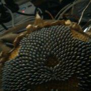 一卡通产品的个人资料头像