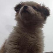 疯禽忘肿的个人资料头像