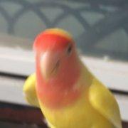 SIQUIN的个人资料头像