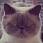 jenny在掘金35224的个人资料头像