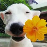 董家宏的个人资料头像