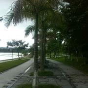 风雨兼程君35321的个人资料头像