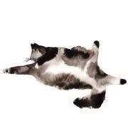 landscai的个人资料头像