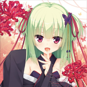 color9169的个人资料头像