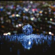 NemoMyNameForever的个人资料头像