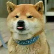 紫薯蛋挞的个人资料头像