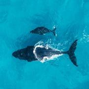 Marcus就是我35455的个人资料头像