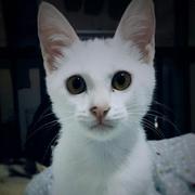 yhaolpz的个人资料头像