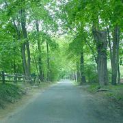 ColinLeo的个人资料头像